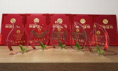 “356体育在线杯”浙江省节地生态安葬设计作品奖