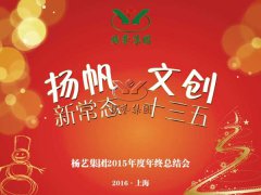 年终会：记2015年终总结大会暨2016年计划会议