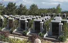 有一种墓碑，叫文化