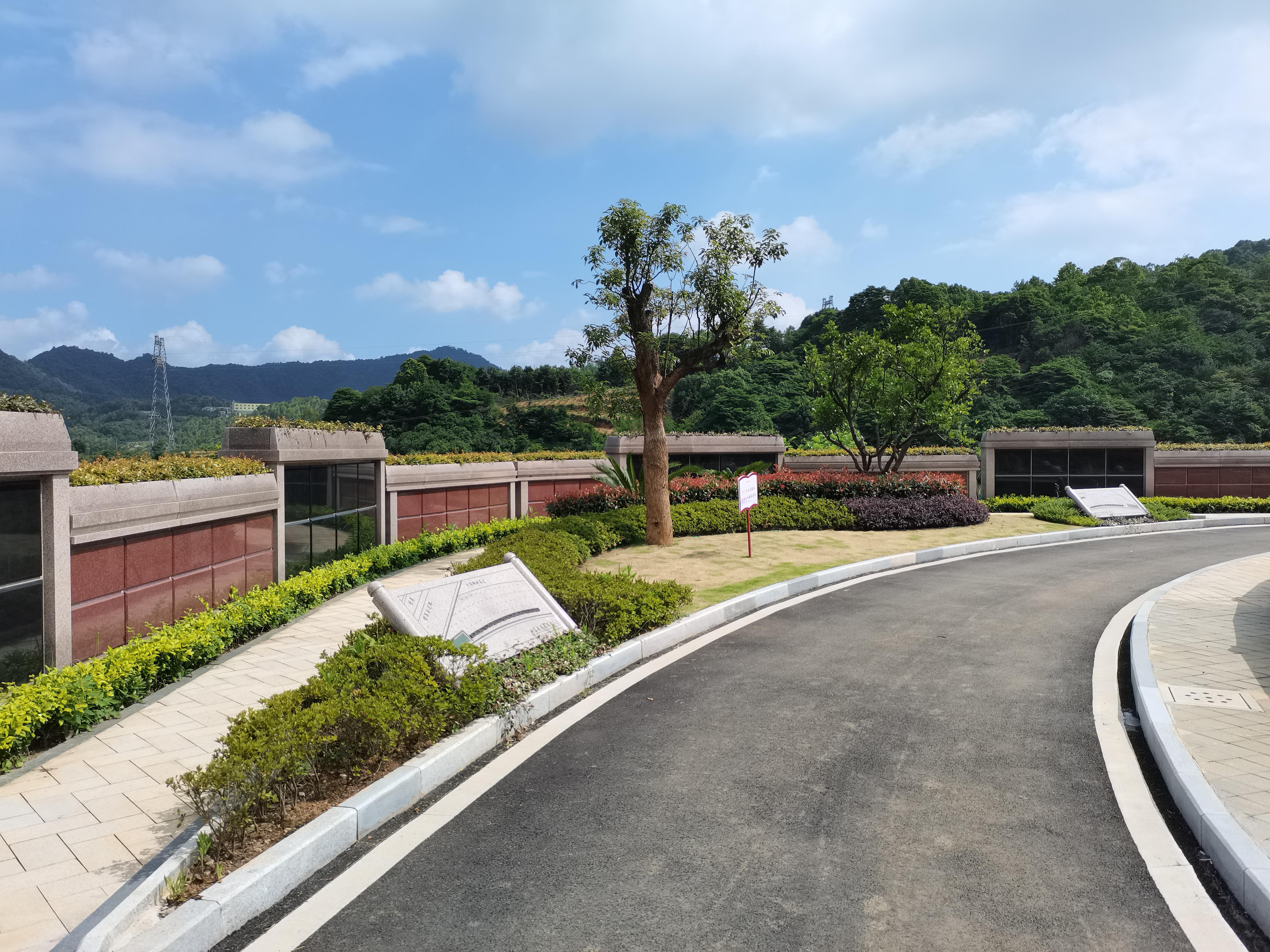 海葬和树葬哪个好？两种生态葬祭方式的选择与意义