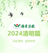 风起清明 遥寄相思|356体育在线集团?2024清明篇