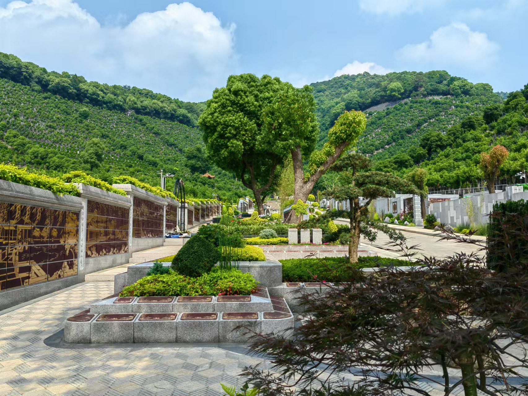 引领绿色生态新风尚，共筑生命和谐家园