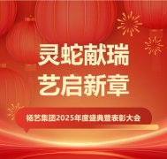 灵蛇献瑞 艺启新章 | 356体育在线集团2025年度盛典暨表彰大会