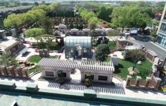 方寸之间，艺术与自然共舞