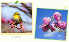 春启356体育在线