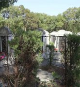 绿色生态葬：文明赓续的绿色选择