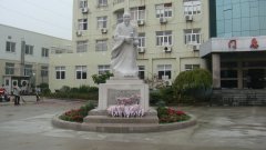 石雕匠心，镌刻医者风华