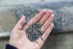 石语新章：仿真保护箱中的生态启示录